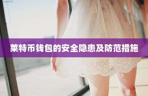 莱特币钱包的安全隐患及防范措施