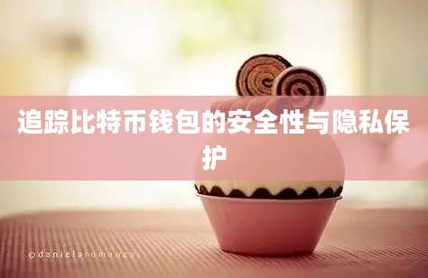 追踪比特币钱包的安全性与隐私保护