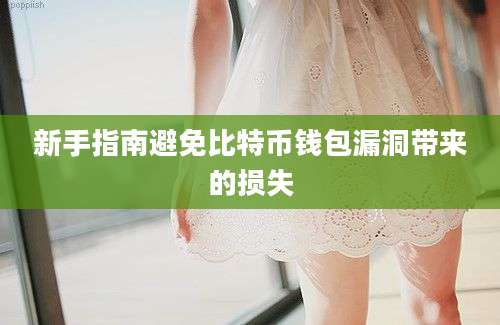 新手指南避免比特币钱包漏洞带来的损失
