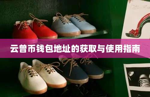 云曾币钱包地址的获取与使用指南