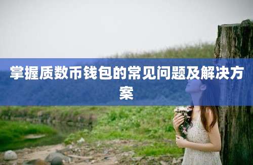 掌握质数币钱包的常见问题及解决方案