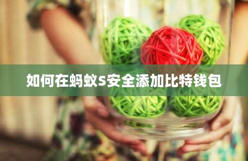 如何在蚂蚁S安全添加比特钱包