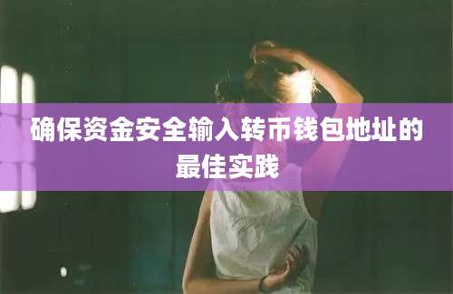 确保资金安全输入转币钱包地址的最佳实践