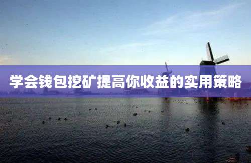 学会钱包挖矿提高你收益的实用策略