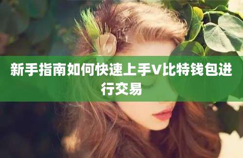 新手指南如何快速上手V比特钱包进行交易