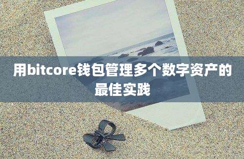 用bitcore钱包管理多个数字资产的最佳实践