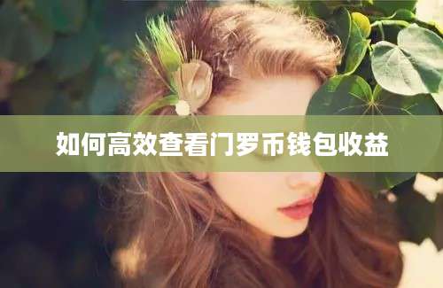 如何高效查看门罗币钱包收益