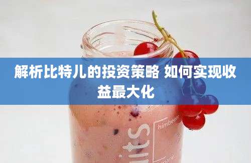 解析比特儿的投资策略 如何实现收益最大化