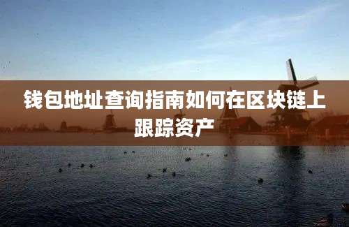 钱包地址查询指南如何在区块链上跟踪资产
