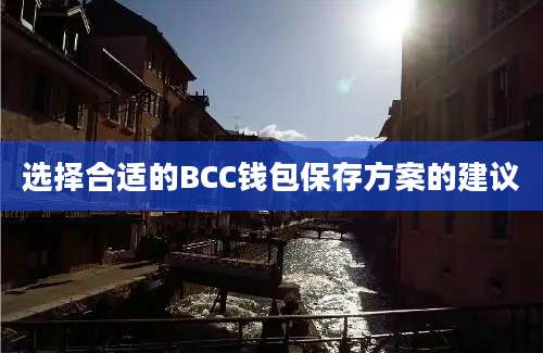 选择合适的BCC钱包保存方案的建议