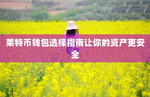 莱特币钱包选择指南让你的资产更安全