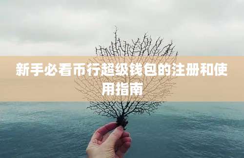新手必看币行超级钱包的注册和使用指南