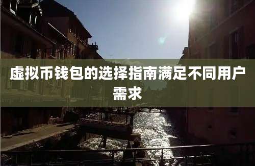虚拟币钱包的选择指南满足不同用户需求