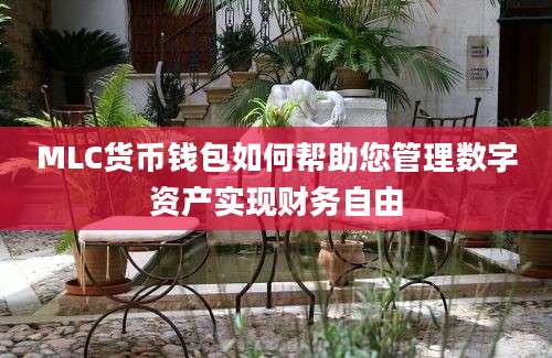 MLC货币钱包如何帮助您管理数字资产实现财务自由
