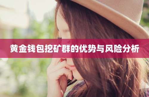 黄金钱包挖矿群的优势与风险分析