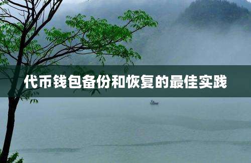 代币钱包备份和恢复的最佳实践