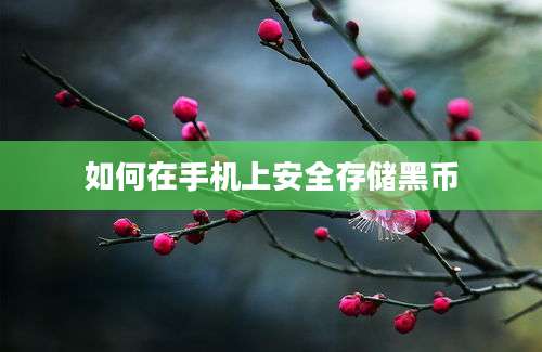 如何在手机上安全存储黑币