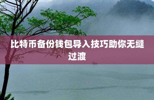 比特币备份钱包导入技巧助你无缝过渡