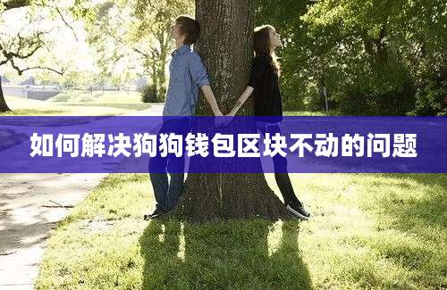 如何解决狗狗钱包区块不动的问题