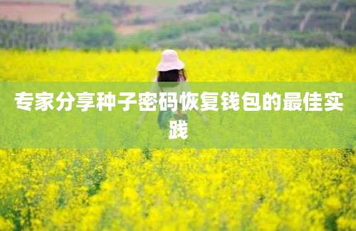 专家分享种子密码恢复钱包的最佳实践