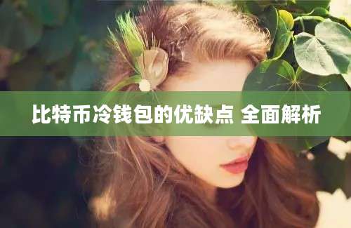 比特币冷钱包的优缺点 全面解析