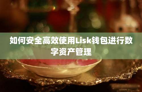 如何安全高效使用Lisk钱包进行数字资产管理