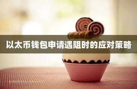 以太币钱包申请遇阻时的应对策略
