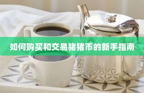 如何购买和交易猪猪币的新手指南