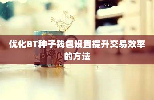 优化BT种子钱包设置提升交易效率的方法