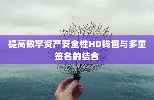 提高数字资产安全性HD钱包与多重签名的结合