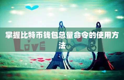 掌握比特币钱包总量命令的使用方法