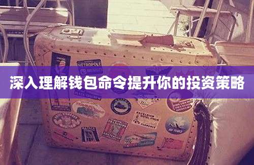 深入理解钱包命令提升你的投资策略