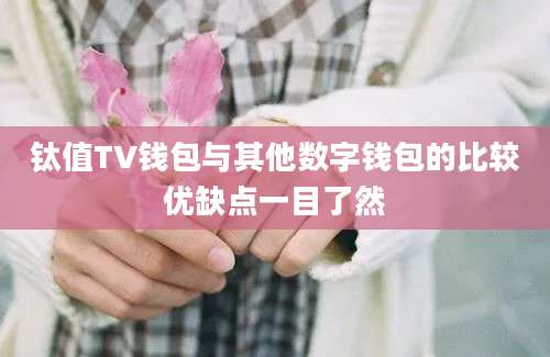 钛值TV钱包与其他数字钱包的比较优缺点一目了然