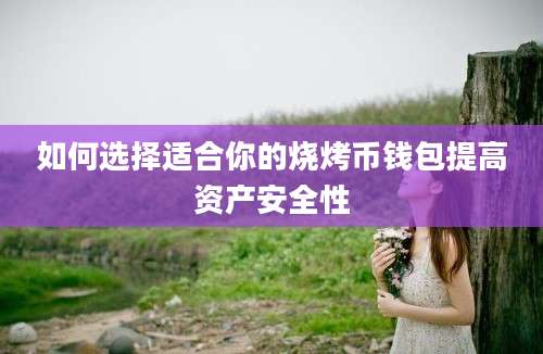 如何选择适合你的烧烤币钱包提高资产安全性