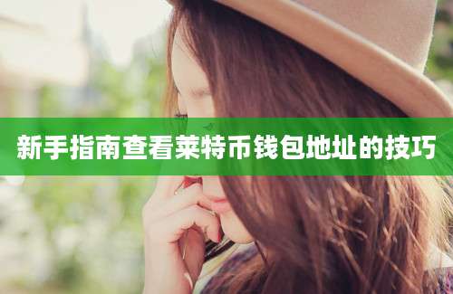 新手指南查看莱特币钱包地址的技巧
