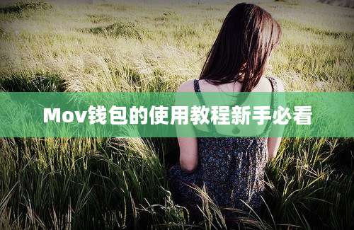 Mov钱包的使用教程新手必看