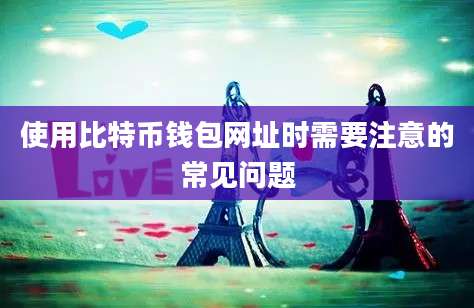 使用比特币钱包网址时需要注意的常见问题