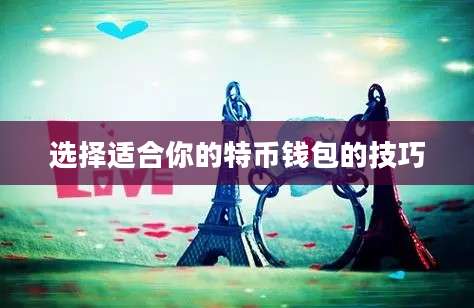 选择适合你的特币钱包的技巧