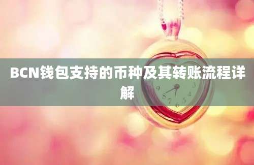 BCN钱包支持的币种及其转账流程详解
