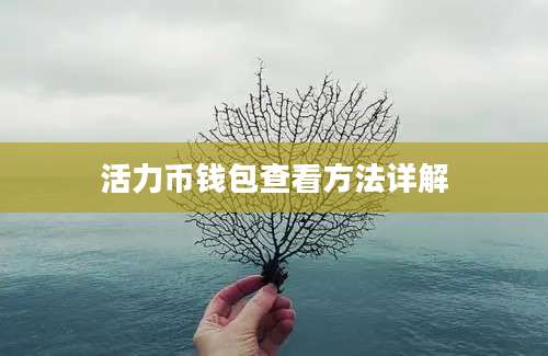 活力币钱包查看方法详解