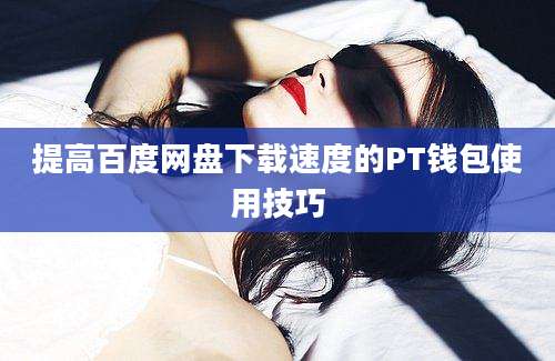 提高百度网盘下载速度的PT钱包使用技巧