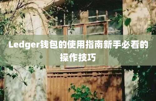 Ledger钱包的使用指南新手必看的操作技巧