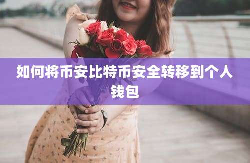 如何将币安比特币安全转移到个人钱包