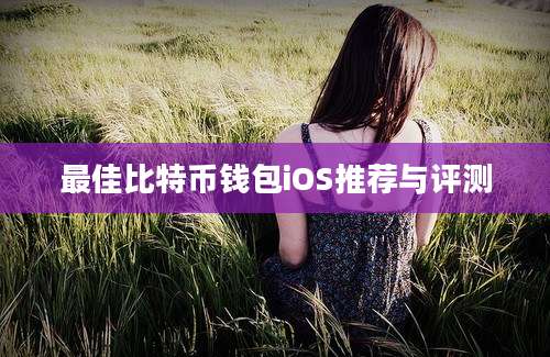 最佳比特币钱包iOS推荐与评测