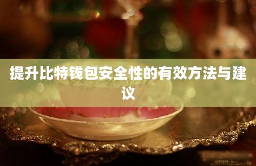 提升比特钱包安全性的有效方法与建议