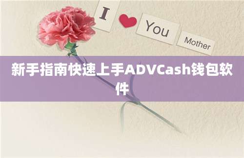 新手指南快速上手ADVCash钱包软件
