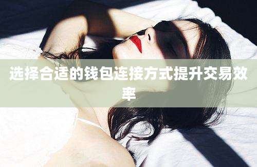 选择合适的钱包连接方式提升交易效率