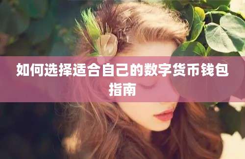 如何选择适合自己的数字货币钱包指南