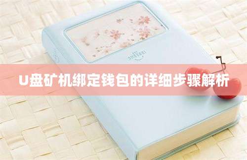 U盘矿机绑定钱包的详细步骤解析