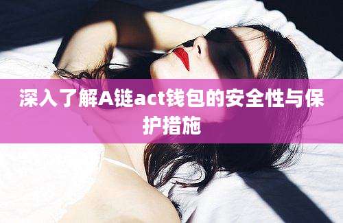 深入了解A链act钱包的安全性与保护措施